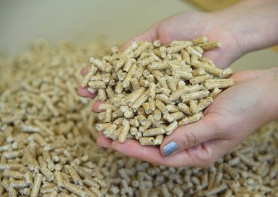 Pelety na topení volně ložené od Latop Energy České Budějovice